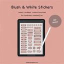 Blush And White Stickers For Planner. Yearly, Monthly, Daily, Budget And Goals